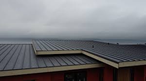 Fast & Reliable Emergency Roof Repairs in Wallace, ID